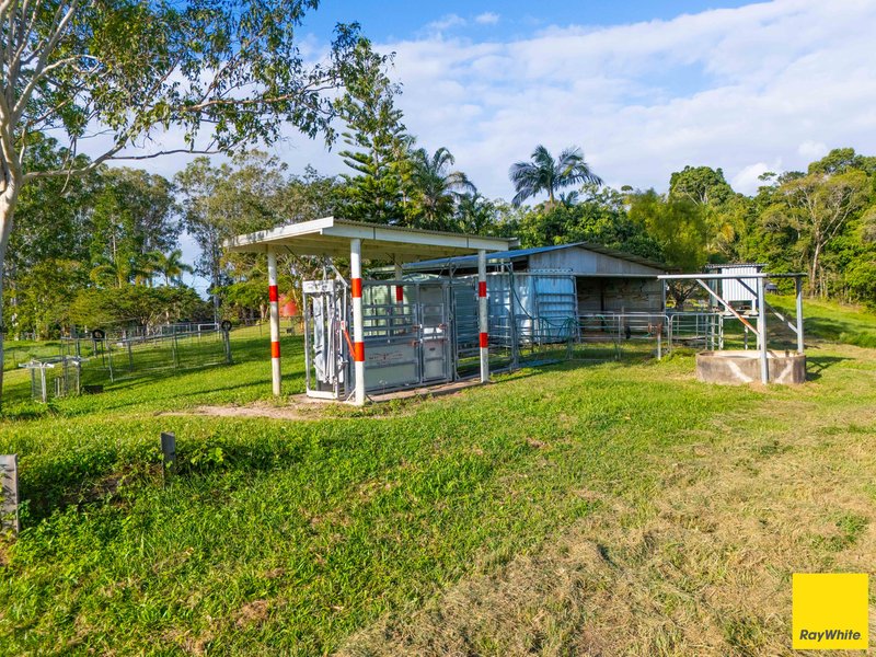 Photo - 90 Stoney Creek Road, Speewah QLD 4881 - Image 28