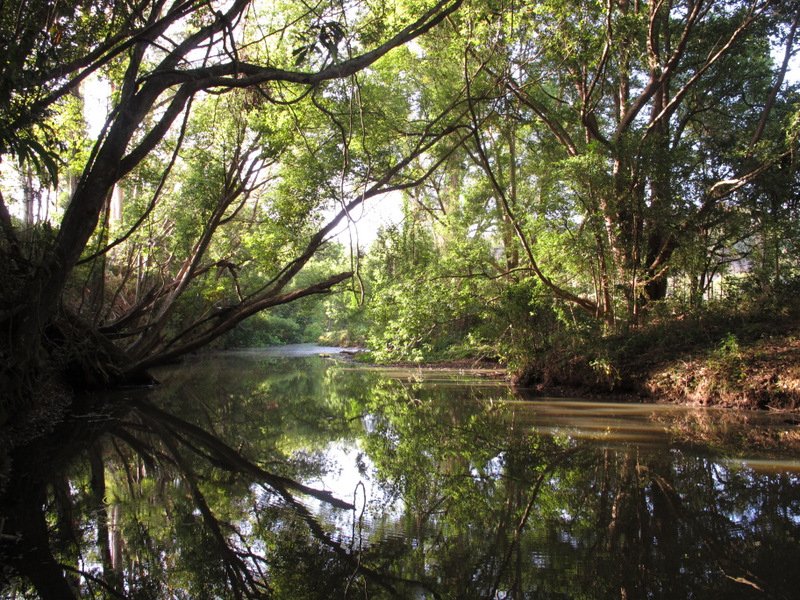 Photo - 901 Main Arm Road, Mullumbimby NSW 2482 - Image 23