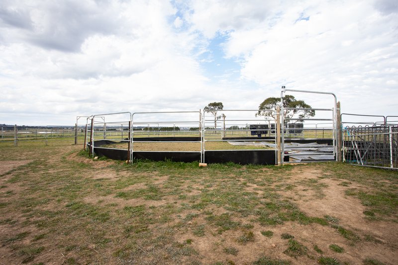 Photo - 903 Castledoyle Road, Armidale NSW 2350 - Image 12