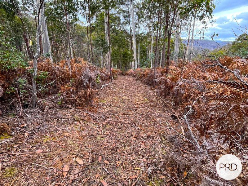 Photo - 905 Back River Road, Magra TAS 7140 - Image 5