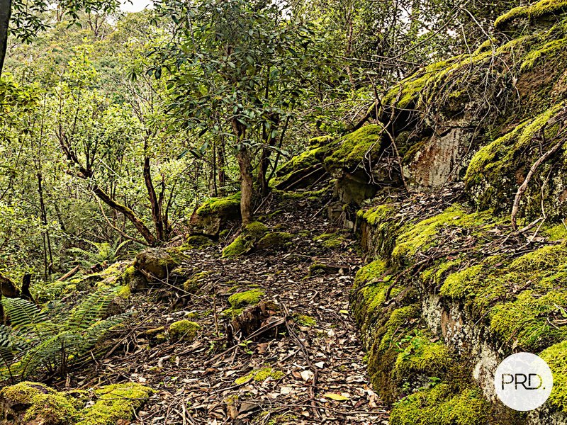 Photo - 905 Back River Road, Magra TAS 7140 - Image 9