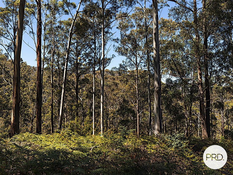 Photo - 905 Back River Road, Magra TAS 7140 - Image 16