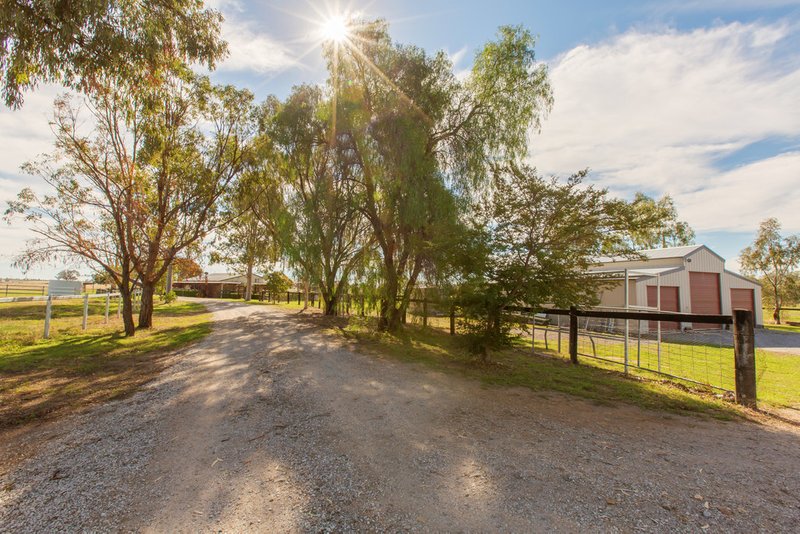 Photo - 906 New Winton Road, Tamworth NSW 2340 - Image 8