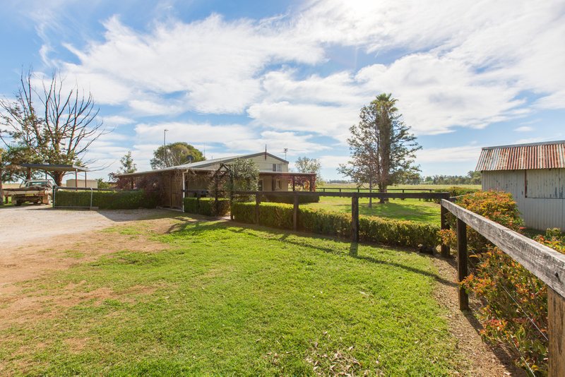 Photo - 906 New Winton Road, Tamworth NSW 2340 - Image 10