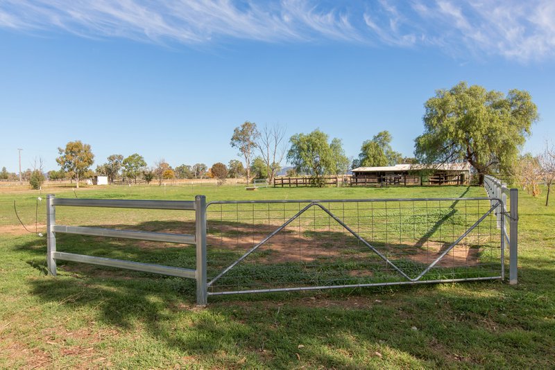 Photo - 906 New Winton Road, Tamworth NSW 2340 - Image 11