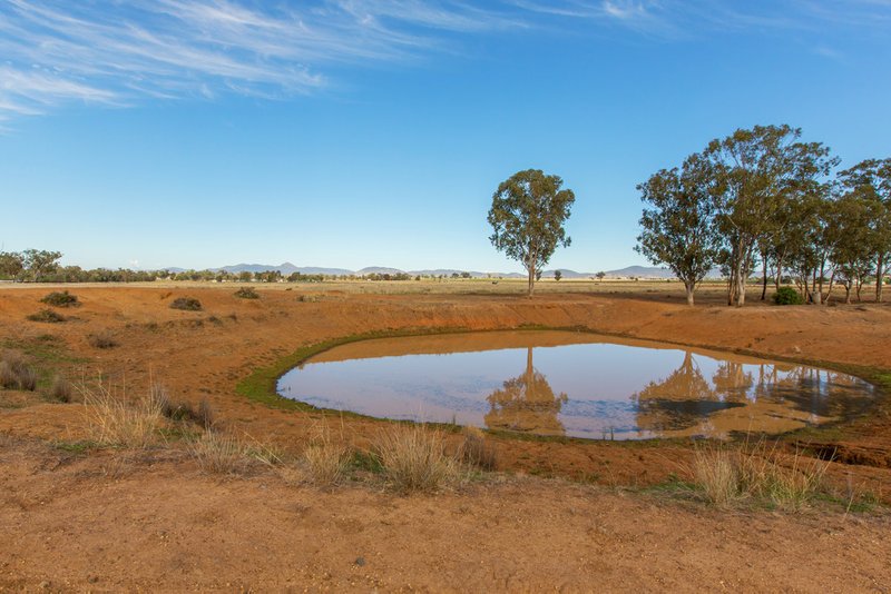 Photo - 906 New Winton Road, Tamworth NSW 2340 - Image 12