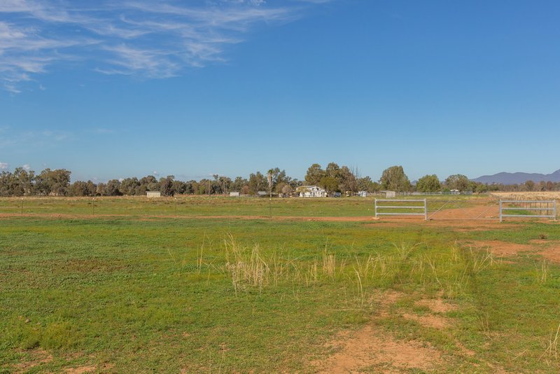 Photo - 906 New Winton Road, Tamworth NSW 2340 - Image 15