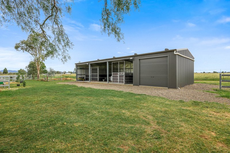 Photo - 906 New Winton Road, Tamworth NSW 2340 - Image 8