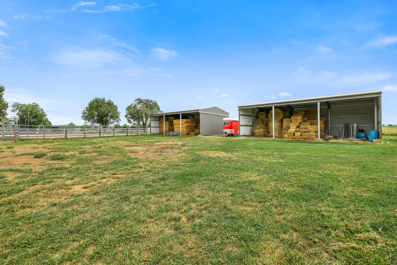 Photo - 906 New Winton Road, Tamworth NSW 2340 - Image 9