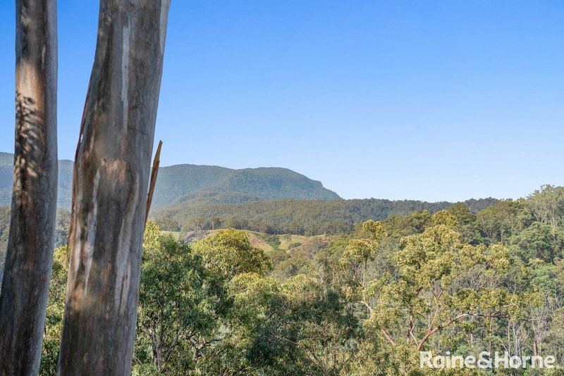 Photo - 907 Homeleigh Road, Homeleigh Via , Kyogle NSW 2474 - Image 30