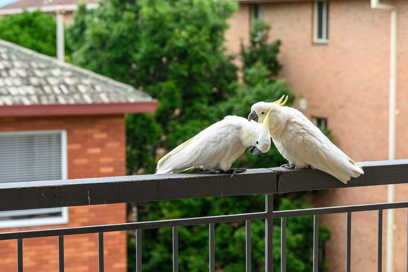 Photo - 9/1-3 Norman Avenue, Dolls Point NSW 2219 - Image 8