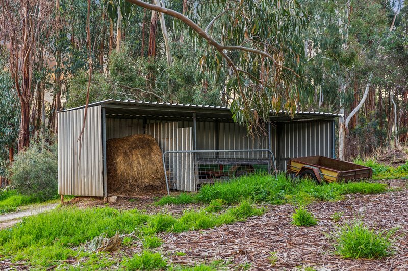 Photo - 91 Alston Road, Blakiston SA 5250 - Image 23
