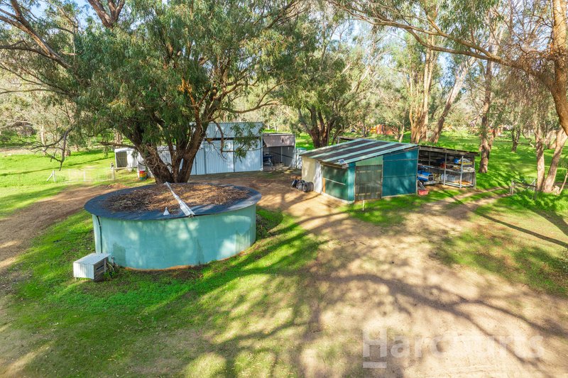 Photo - 91 Caponi Road, Barragup WA 6209 - Image 31