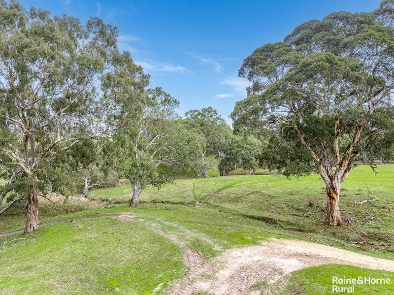 Photo - 91 Coomooloo Road, Inman Valley SA 5211 - Image 25