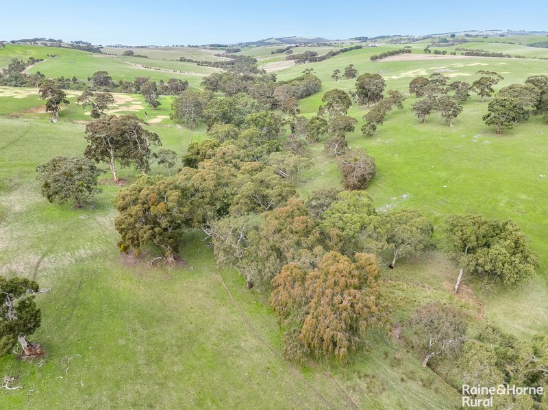 Photo - 91 Coomooloo Road, Inman Valley SA 5211 - Image 31