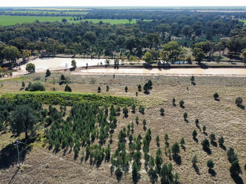 Photo - 91 Coorabbin Road, Oaklands NSW 2646 - Image 6