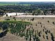 Photo - 91 Coorabbin Road, Oaklands NSW 2646 - Image 6