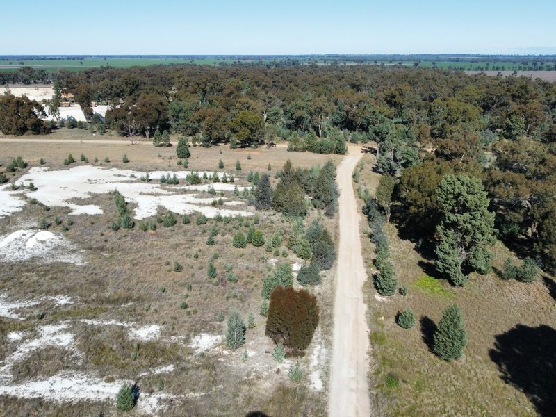 Photo - 91 Coorabbin Road, Oaklands NSW 2646 - Image 11