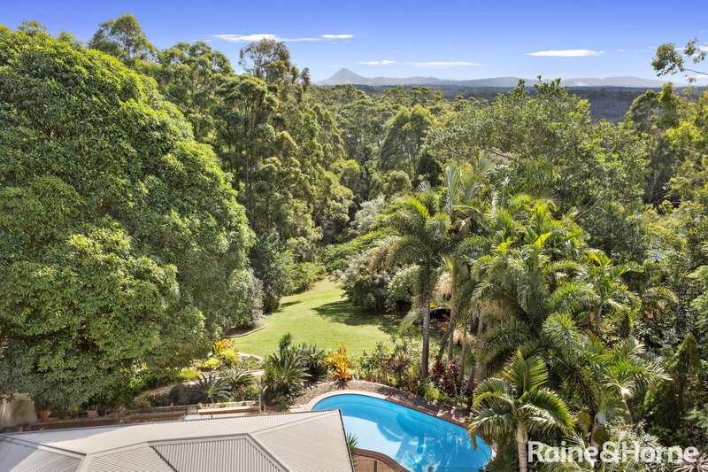 Photo - 91 Cudgerie Drive, Black Mountain QLD 4563 - Image 3