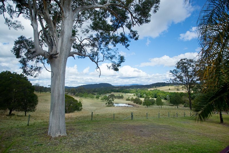 Photo - 91 Cusack Lane, Nabiac NSW 2312 - Image 10