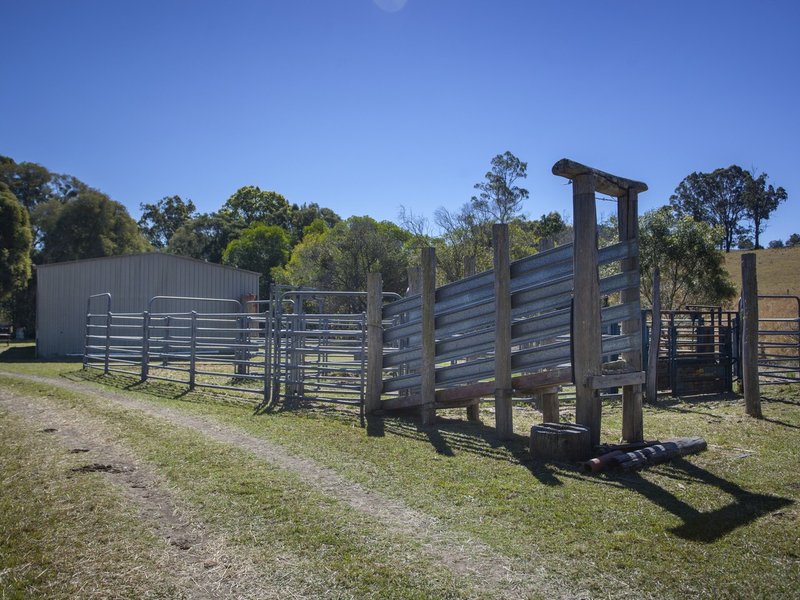 Photo - 91 Cusack Lane, Nabiac NSW 2312 - Image 15