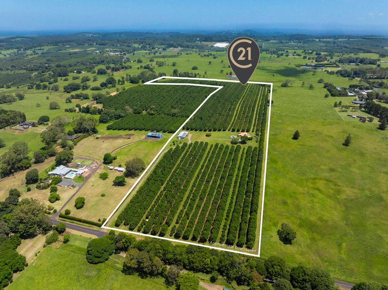Photo - 91 Ellis Road, Alstonville NSW 2477 - Image 17