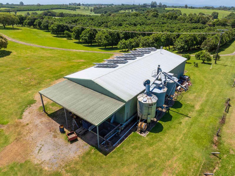 Photo - 91 Ellis Road, Alstonville NSW 2477 - Image 21