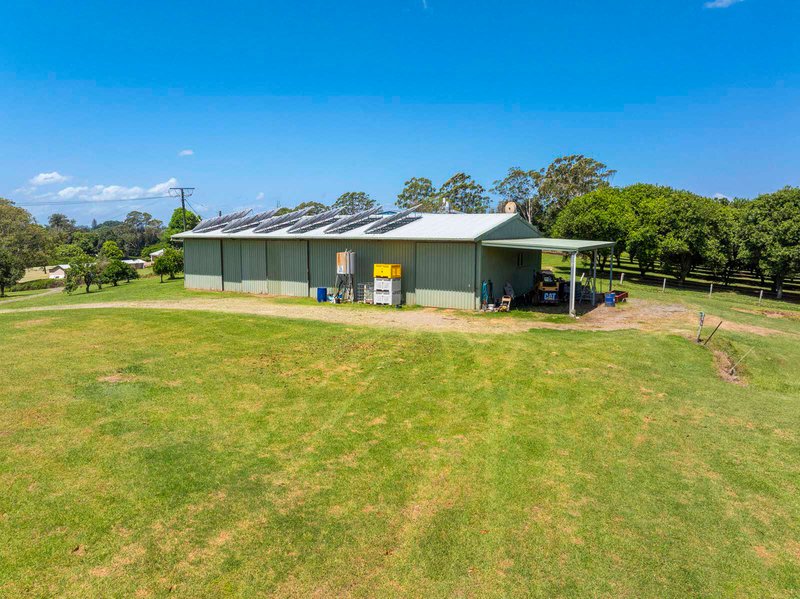 Photo - 91 Ellis Road, Alstonville NSW 2477 - Image 23