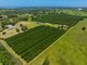 Photo - 91 Ellis Road, Alstonville NSW 2477 - Image 24
