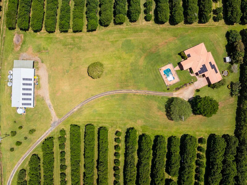 Photo - 91 Ellis Road, Alstonville NSW 2477 - Image 25