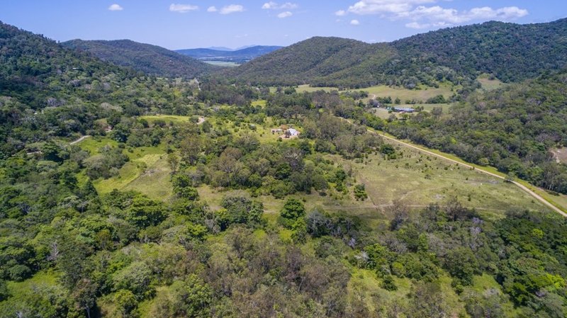 Photo - 91 Forestry Road, Brandy Creek QLD 4800 - Image 4