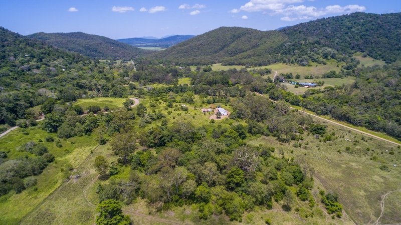 Photo - 91 Forestry Road, Brandy Creek QLD 4800 - Image 5