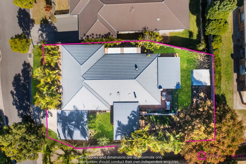 Photo - 91 Ghost Gum Street, Bellbowrie QLD 4070 - Image 6