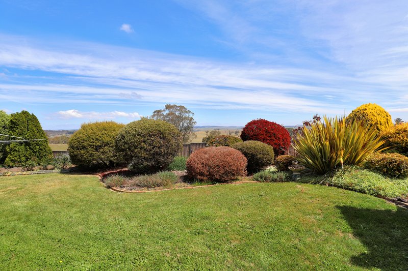 Photo - 91 Gunningrach Road, Bombala NSW 2632 - Image 20