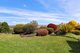 Photo - 91 Gunningrach Road, Bombala NSW 2632 - Image 20