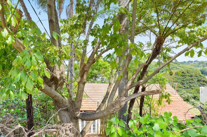 Photo - 91 Lauderdale Avenue, Fairlight NSW 2094 - Image 13