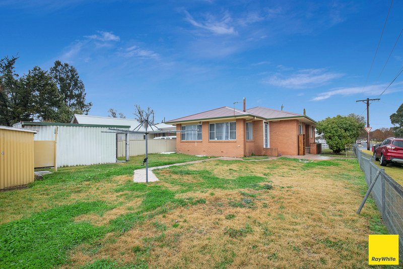 Photo - 91 Niagara Street, Armidale NSW 2350 - Image 10