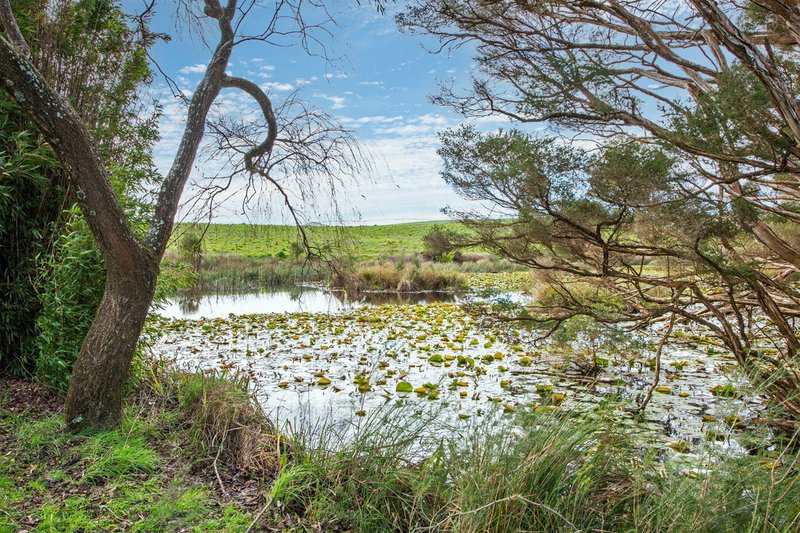 Photo - 91 Pollards Road, Rocky Cape TAS 7321 - Image 13