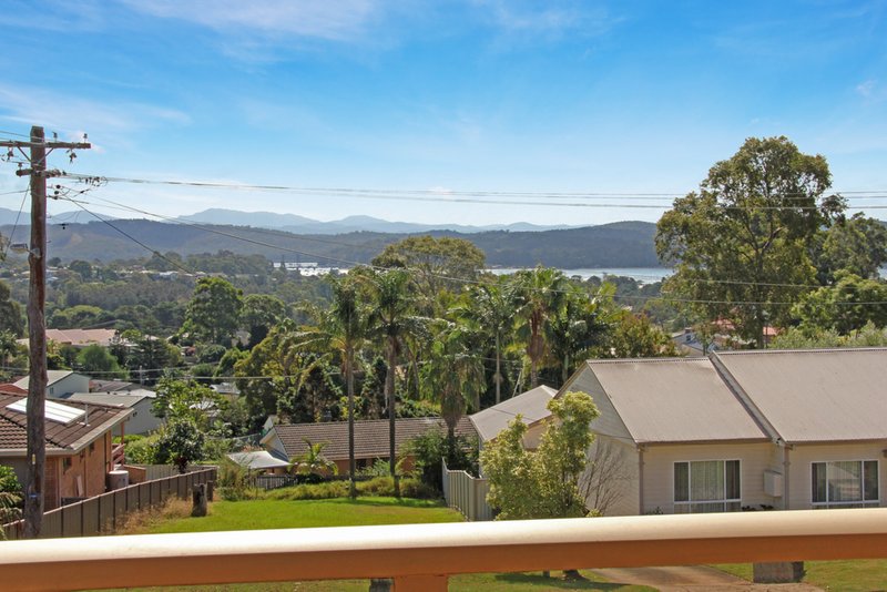 Photo - 91 Ridge Street, Catalina NSW 2536 - Image 2