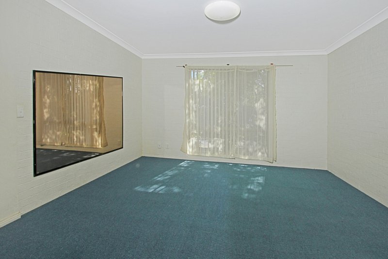 Photo - 91 Ridge Street, Catalina NSW 2536 - Image 6