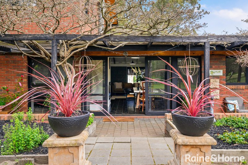 Photo - 91 Somerville Lane, Riddells Creek VIC 3431 - Image 4