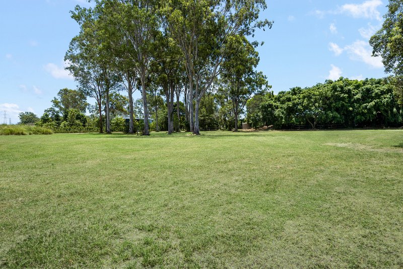 Photo - 91 Tiverton Place, Bridgeman Downs QLD 4035 - Image 3