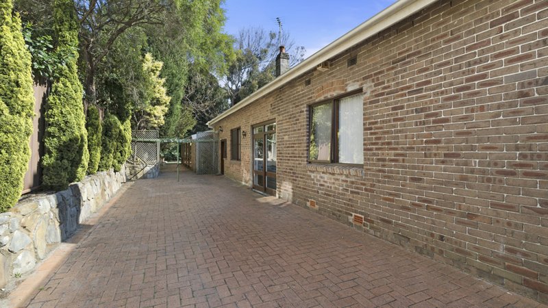 Photo - 91 Watson Street, Bondi NSW 2026 - Image 7