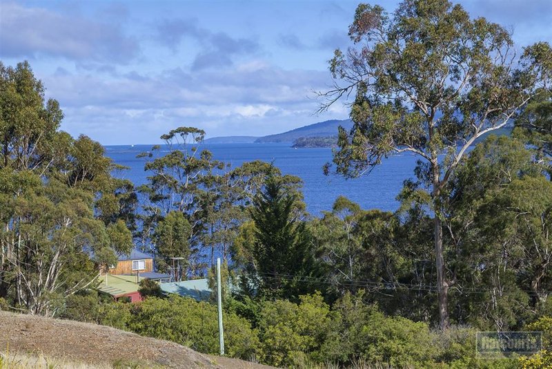 Photo - 91 Williams Road, Randalls Bay TAS 7112 - Image 5