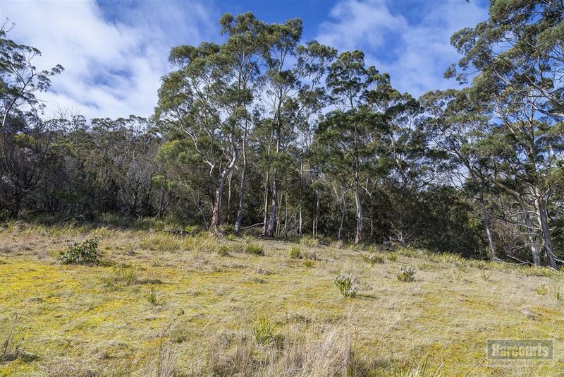 Photo - 91 Williams Road, Randalls Bay TAS 7112 - Image 9