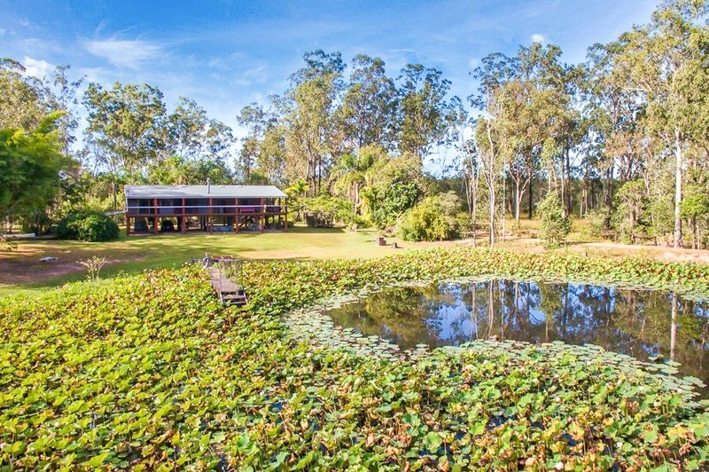 910 Taunton Road, Taunton QLD 4674