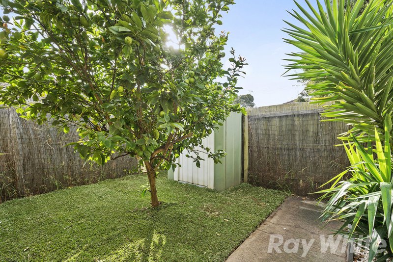 Photo - 9/126 Argus Street, Cheltenham VIC 3192 - Image 11