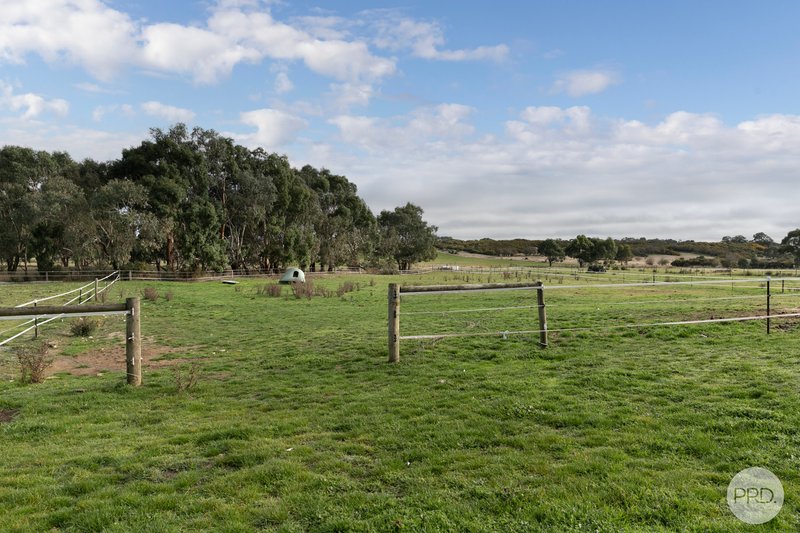 Photo - 913 Linton-Carngham Road, Snake Valley VIC 3351 - Image 16