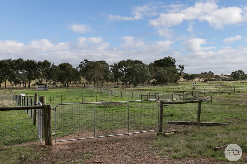 Photo - 913 Linton-Carngham Road, Snake Valley VIC 3351 - Image 18