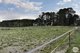 Photo - 913 Linton-Carngham Road, Snake Valley VIC 3351 - Image 19